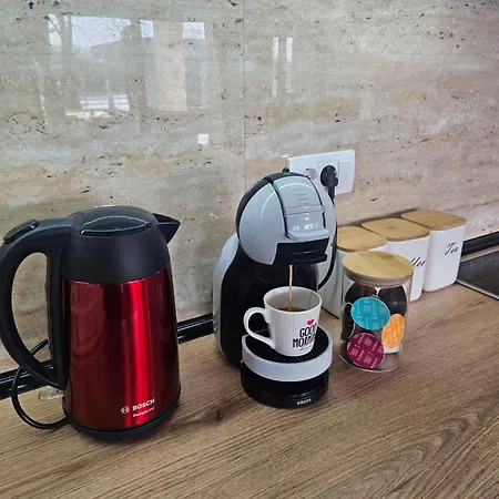 Drina Lux 펜션 로즈니차